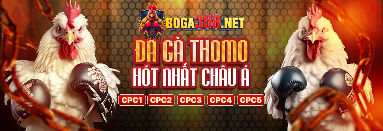 Đá Gà Trực Tuyến 123b code